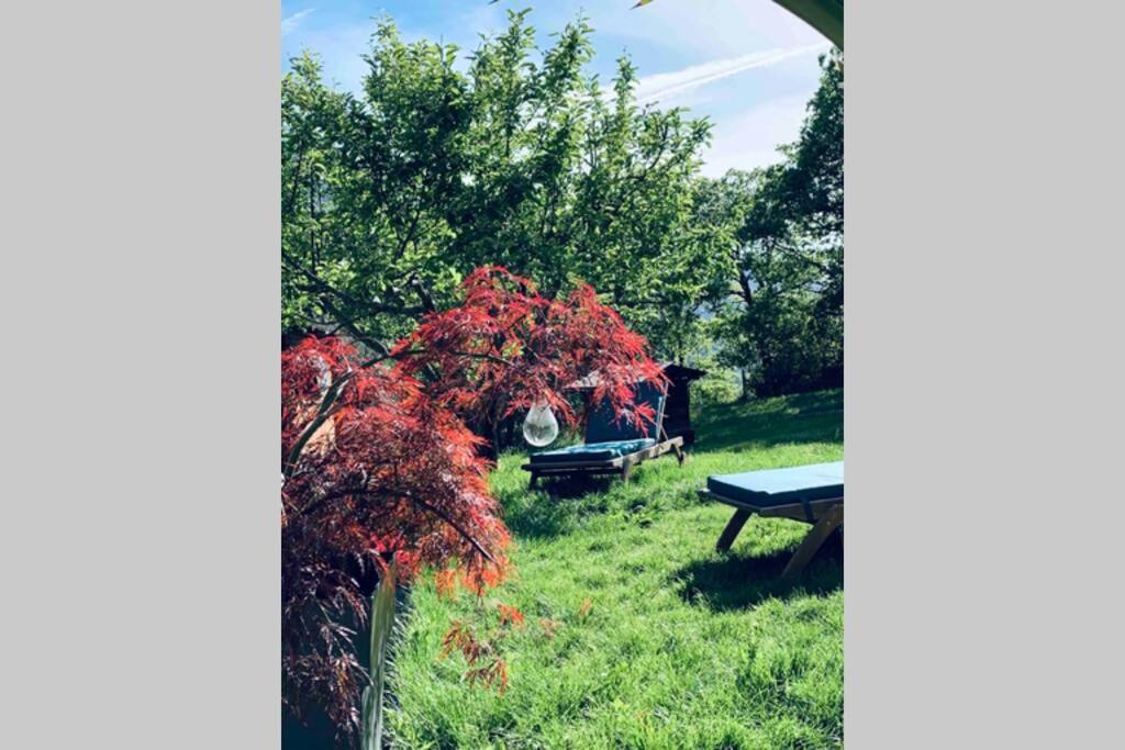 2P Au Coeur Des Montagnes Avec Piscine Chauffee Apartment Puget Theniers Bagian luar foto