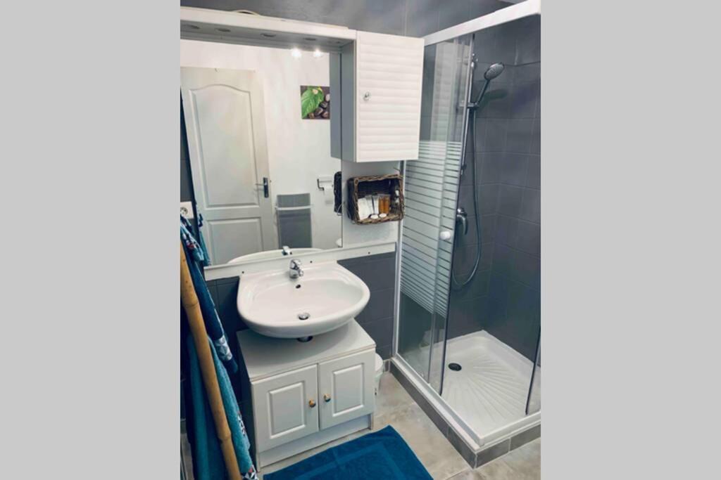 2P Au Coeur Des Montagnes Avec Piscine Chauffee Apartment Puget Theniers Bagian luar foto