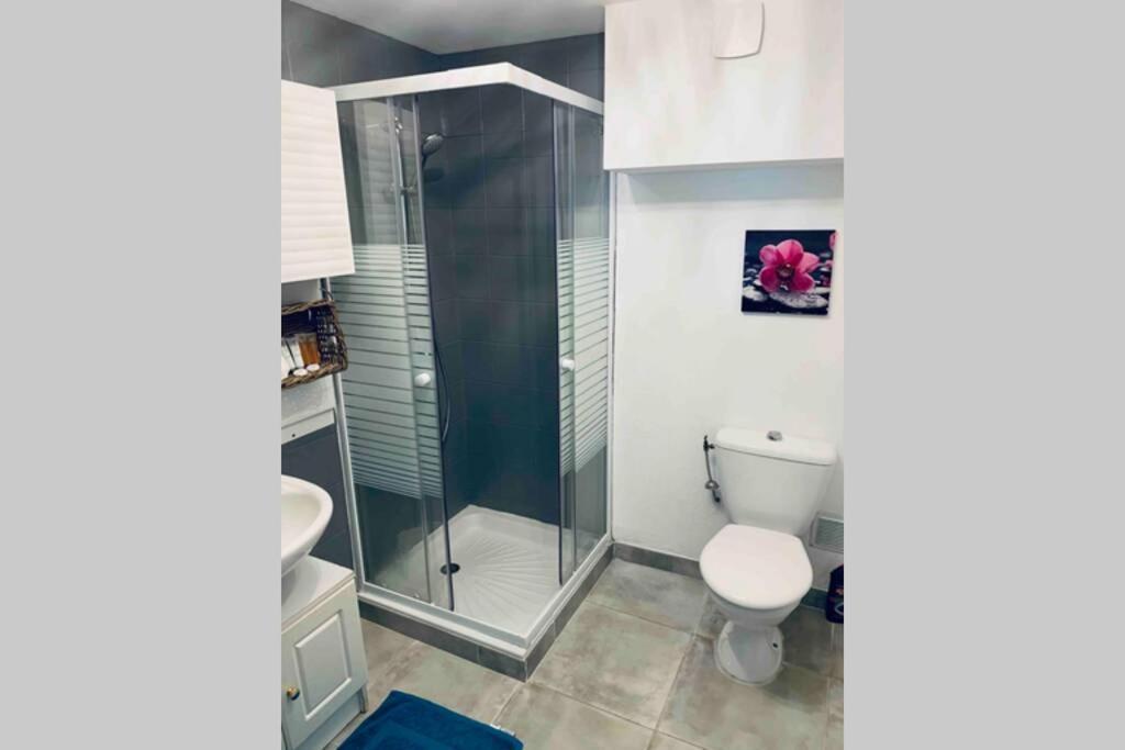 2P Au Coeur Des Montagnes Avec Piscine Chauffee Apartment Puget Theniers Bagian luar foto